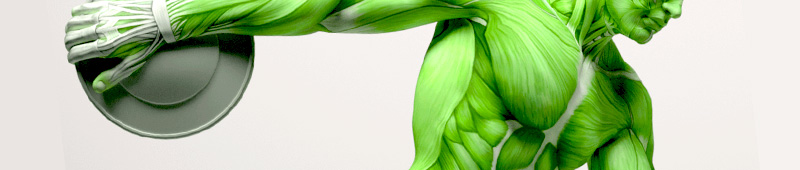 Graduação em Educação Física