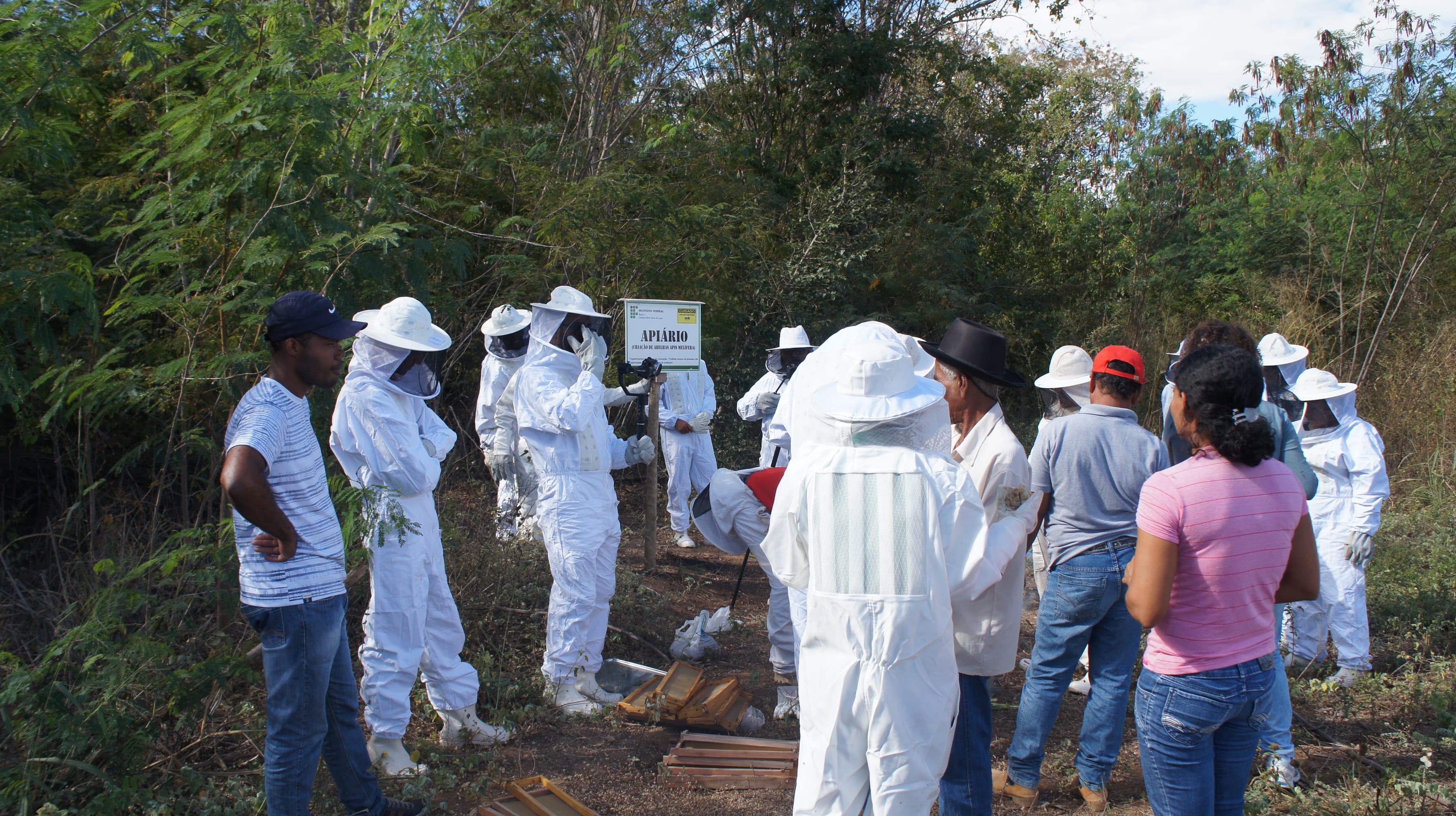 apicultura_curso2